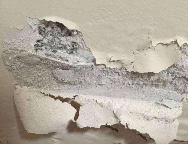 封面|验房百科｜夏日安心验房，你需要知道这些事