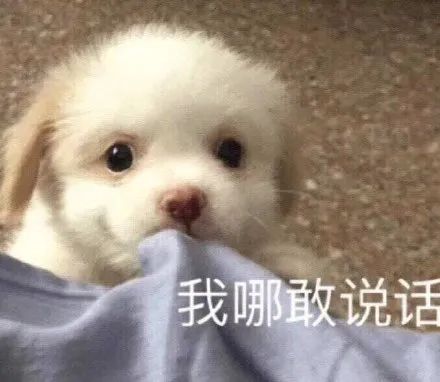 「暖先生格调」“请把洗澡的视频发到班级群”大型网课作业翻车现场,看完口罩都笑掉了哈哈哈哈哈