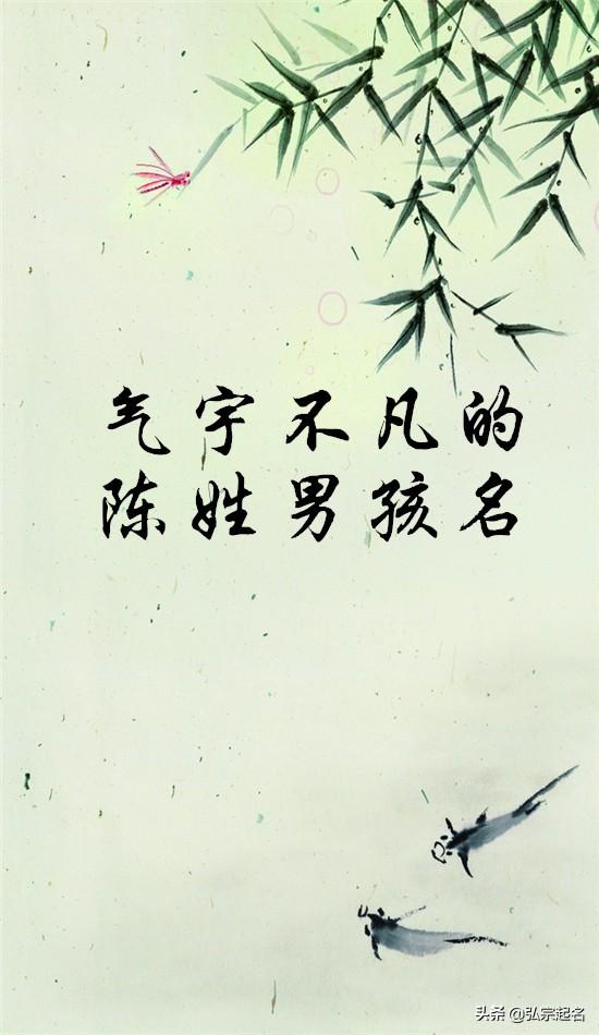 超级宝妈|陈姓高雅霸气,气宇不凡的陈姓男孩名