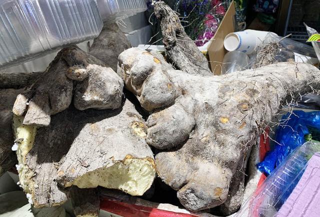 摊位|美食情报｜这家新开的农产品市场太好逛了，2万平方米，杭州70%的餐厅酒店在这进货