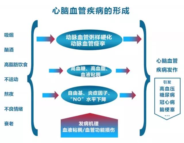 高血压|原来这才是高血压的真相，很多每天吃降压药的人却不知道！出现并发症可能就晚了