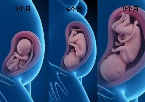 [你的育儿经]怀孕6个月的胎宝宝是什么状态？孕妈有这些变化，正确应对是关键