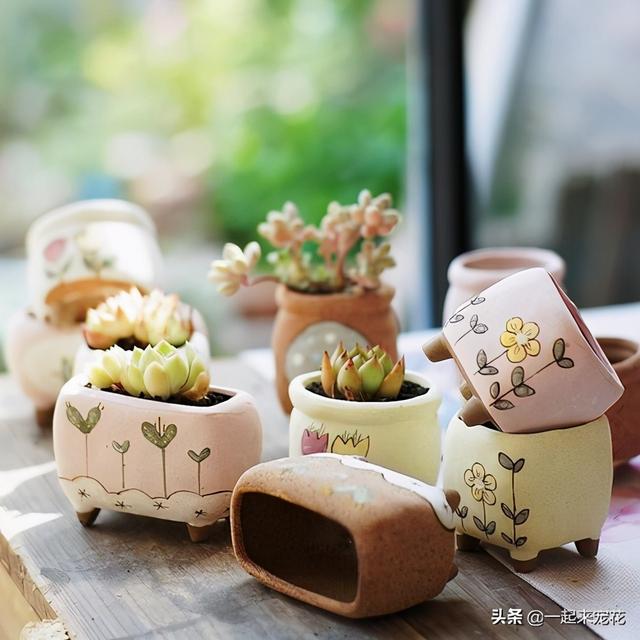 养花总是长不好？可能是犯了4个错误，你中招几个？