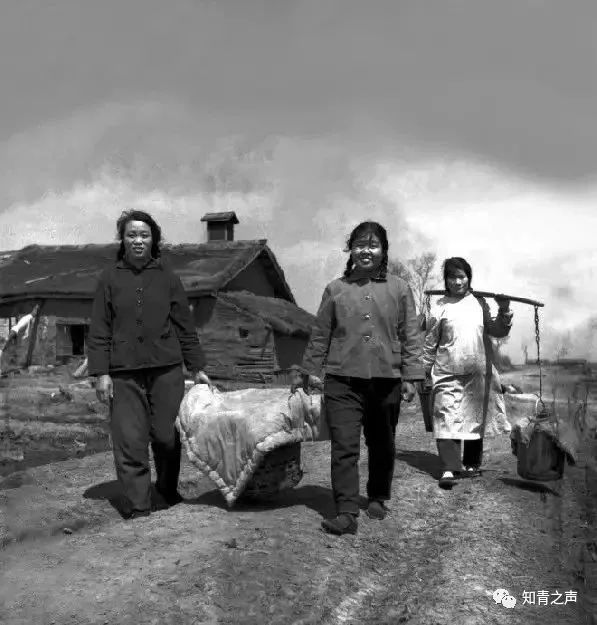 北大荒,食堂负责给干活的知 青送饭.照片大约拍摄于1968-1973年之间.