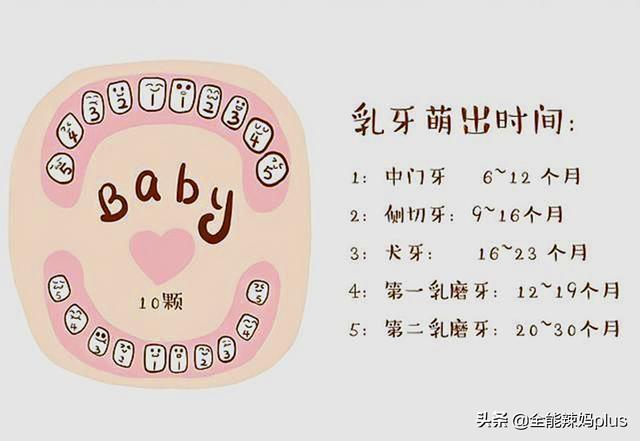 宝宝准确的出牙时间、顺序是什么？一张图告诉你，你家娃中了没