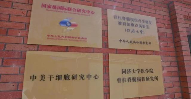 研究|同济大学附属同济医院博士后招聘启事