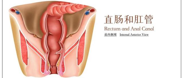 腹痛、腹泻等症状——可能是放射性肠炎在作怪