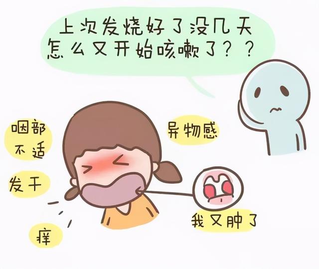 增强免疫力，易胖体质给我滚
