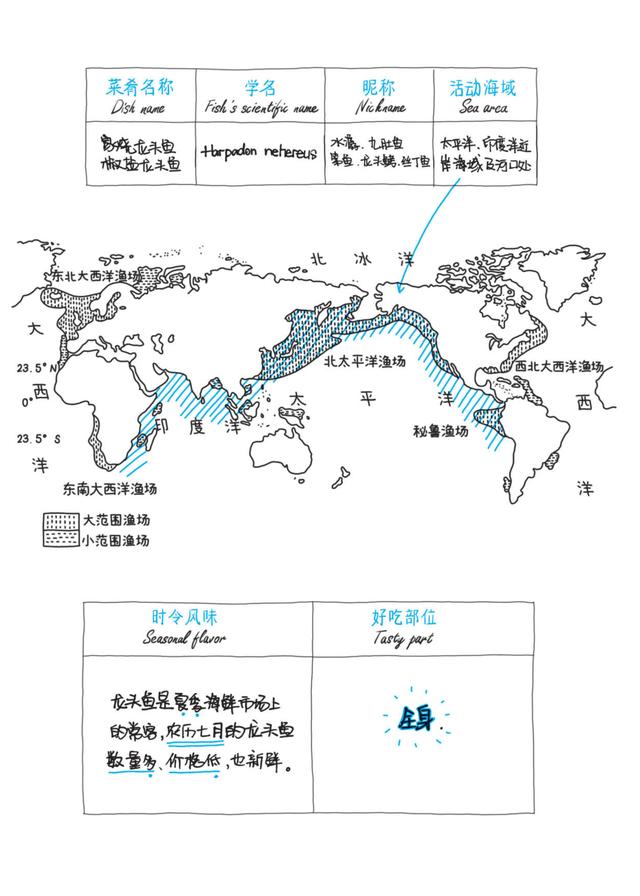 跟随古人《海错图》足迹，与“神婆”一起尝遍各地绝美鲜物