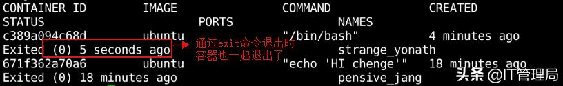 IT工程师都需要掌握的容器技术之Docker容器管理