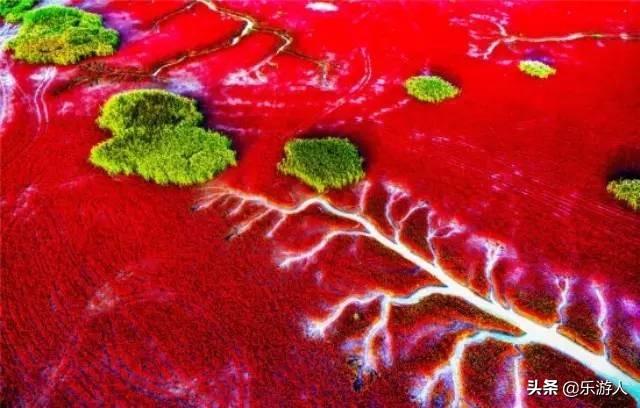 #行路万里#辽宁竟私藏了一片颜值超高的红海滩