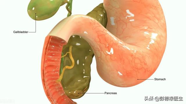 医生提醒：经常有胃病消化不好的患者，需要多看看这篇文章
