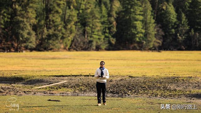「旅行柚子君」镶嵌在高山森林之中的绿色宝石,这就是草湖