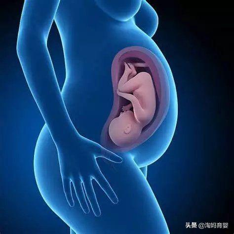 「你的育儿经」胎位什么时候能固定?在这个时间前,还有纠正的可能