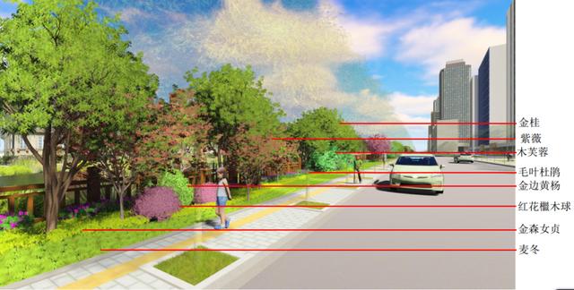 #万丈光芒#新增4条滨河步道、打造四季有景的滨水空间……松江这里的河道变化你期待吗？