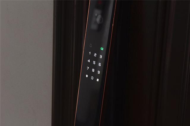 智能锁首次体验！德施曼R8人脸识别效果如何？一周使用全面分析