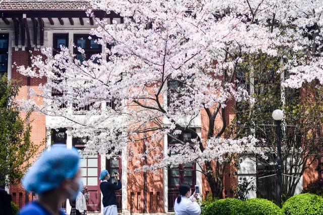 医院|疫散春回，这里的美景抚慰人心