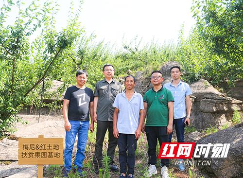 红网张家界:梅尼&红土地在枞茂村设立果园基地 解决贫困户“李子”滞销问题