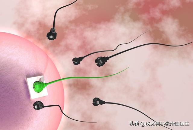 「超级宝妈」精子畸形率高就容易生出畸形宝宝,这种说法正确?