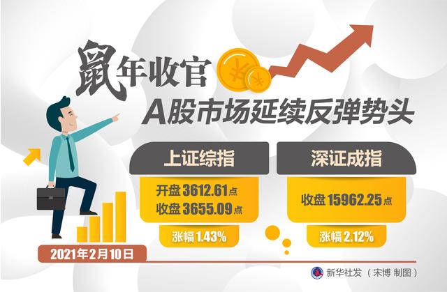 延续|［财经·动态］鼠年收官 A股市场延续反弹势头