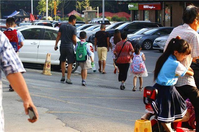 『小树丫』孩子幼升小，如何让他适应新环境？养成这5个习惯，轻松解决问题