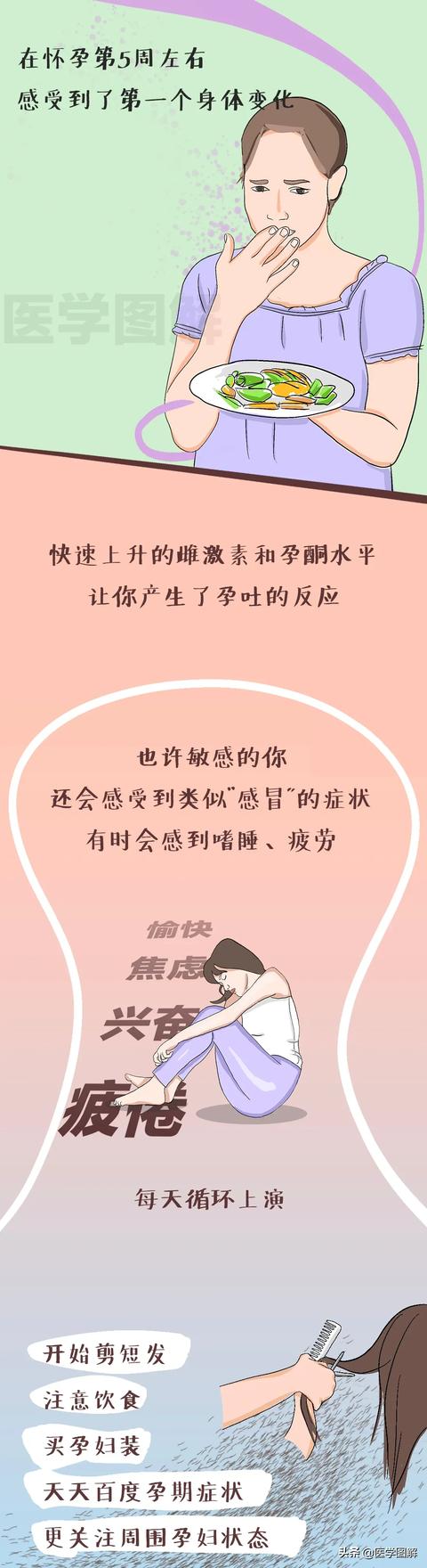 「超级宝妈」怀孕到生产的过程图,帮你猜透孕期女人心理(上篇)丨医学图解