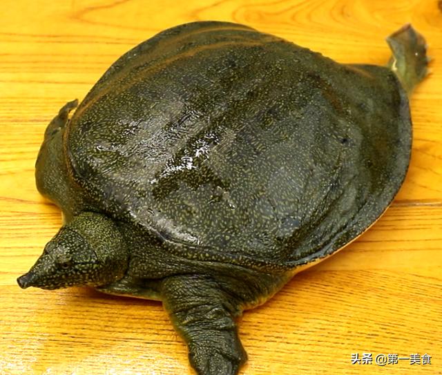补上加补，乌鸡炖甲鱼去腥最重要！大厨教你2步去腥，香鲜味厚