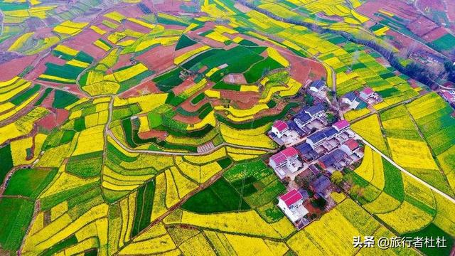 「约吗旅行」百万亩油菜花盛开，处处诗情画意，致最美的汉中油菜花