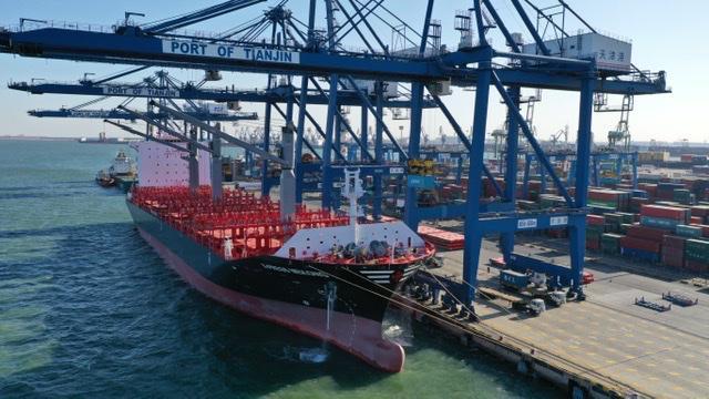 天津港|天津港集团开通今年首条“一带一路”直航新航线