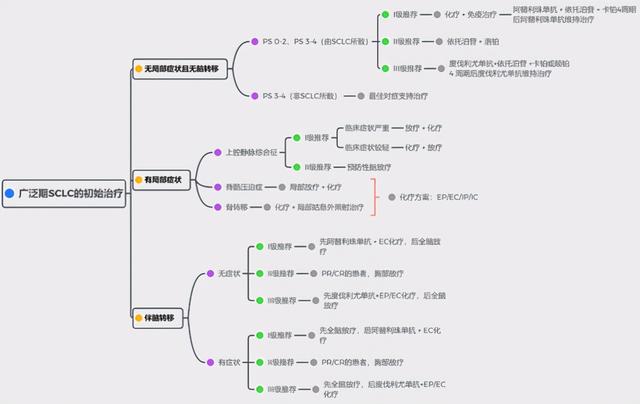 用5张图，带你了解2020年小细胞肺癌最新治疗方式