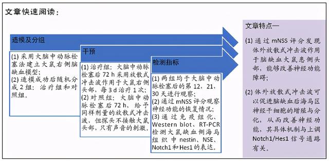 放散式冲击波通过Notch1/Hes1通路调节脑缺血后海马组织中神经干细胞的增殖与分化