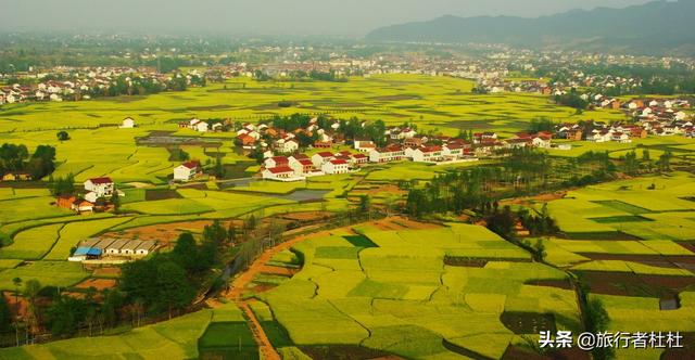 「约吗旅行」百万亩油菜花盛开，处处诗情画意，致最美的汉中油菜花