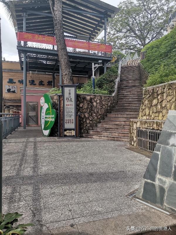 【山楂味的诗】走马观花,看顺德大良。