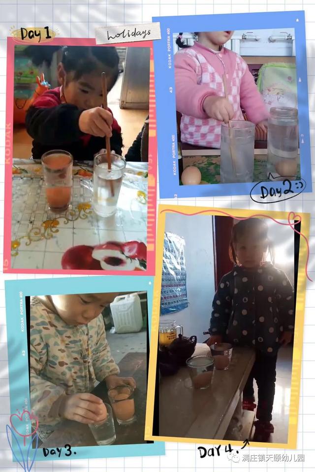 【你的育儿经】停课不停学 探究收获多