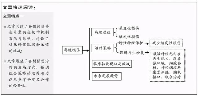 脊髓损伤再生修复中的问题与挑战