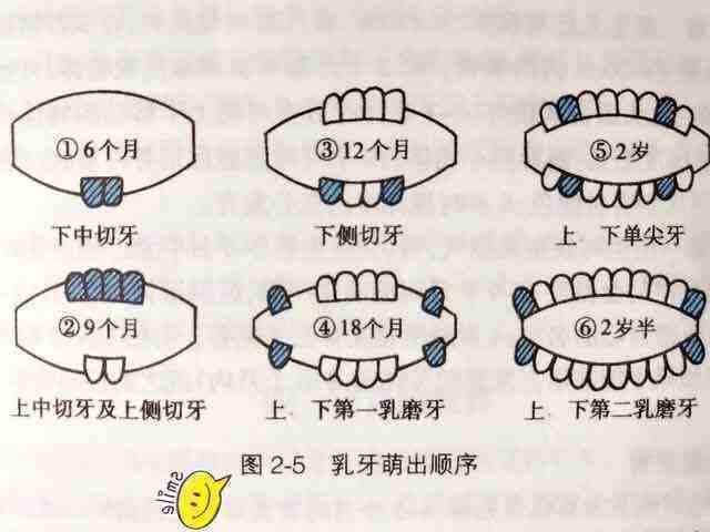 超级宝妈@宝宝9个多月了还没长牙齿正常吗？长牙征兆及应对建议，家长收藏