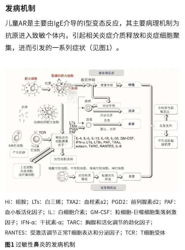 「你的育儿经」婴幼儿过敏性鼻炎的规范诊疗