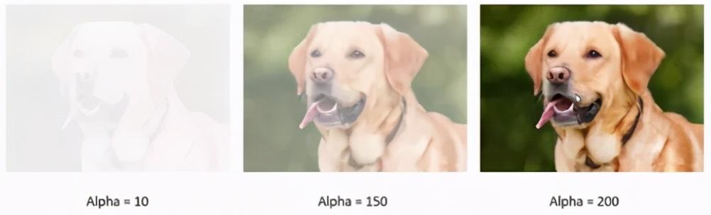 你曾想过如何将图像存储在数据集中吗？