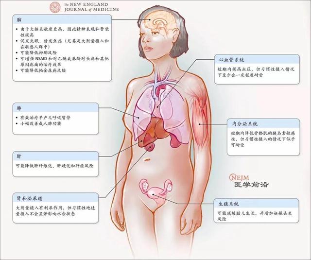 咖啡|喝下一杯咖啡 7个器官起变化