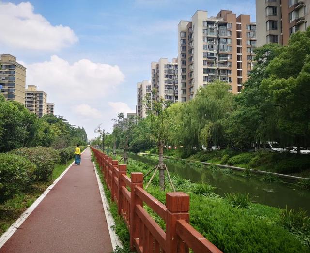#万丈光芒#新增4条滨河步道、打造四季有景的滨水空间……松江这里的河道变化你期待吗？