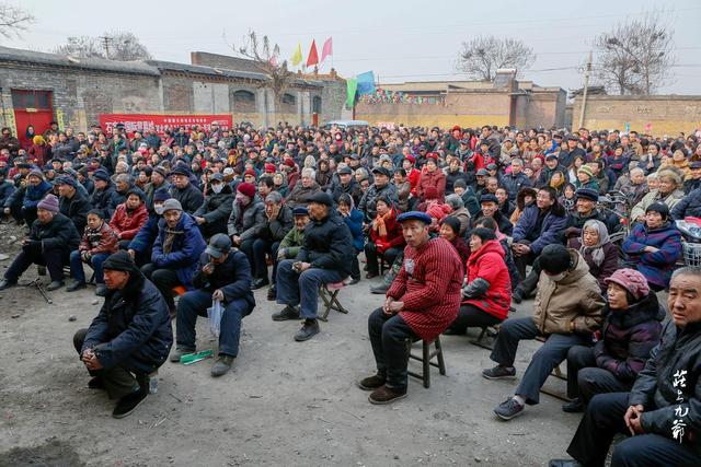 「世界那么大」古镇的古树都长到古宅的房间里了 奇怪的是却名不见经传