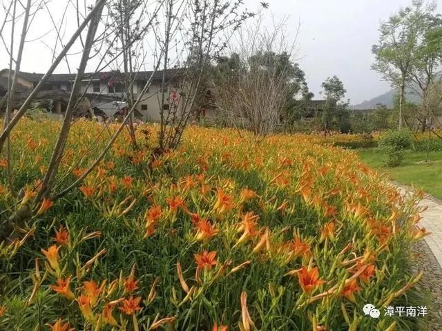 【超级宝妈】别样过假期,携手共育促成长——家乡篇