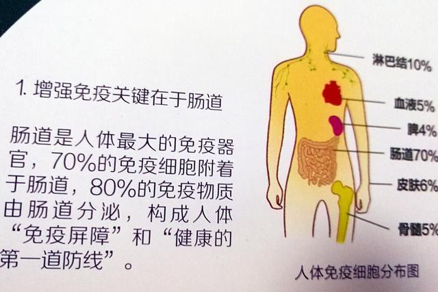 关于肠道的15条箴言