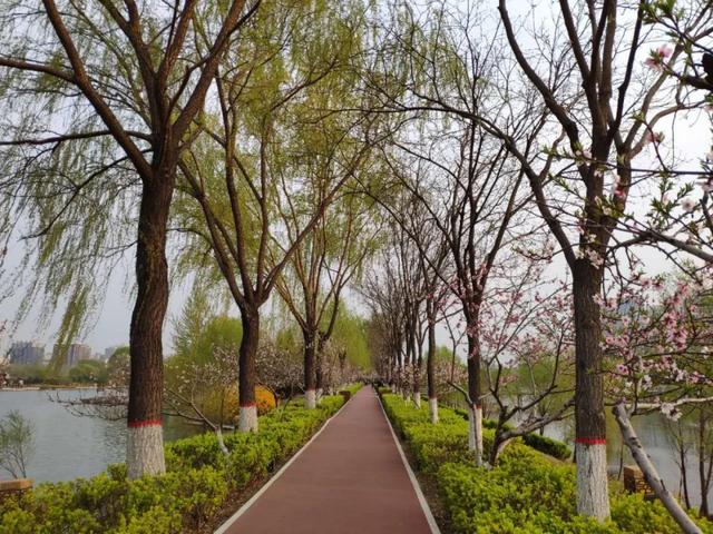 「旅行柚子君」太原将推进汾河健身文化步道建设!今后健身休闲会有更多好去处!