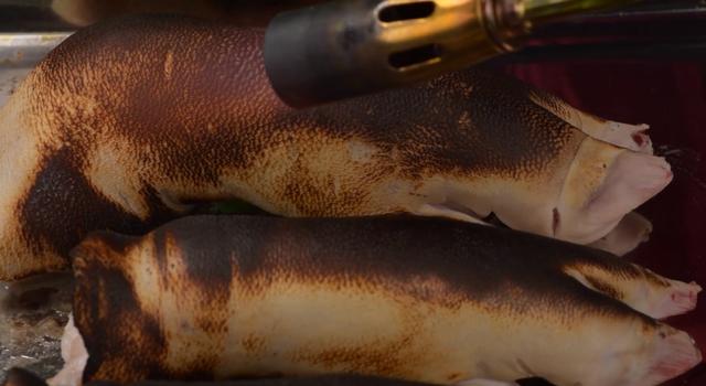 麻辣脆皮猪蹄，先卤后炸，外酥里嫩，学会的都可以摆摊创业了