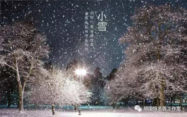 小雪 | 久雨重阳后，清寒小雪前