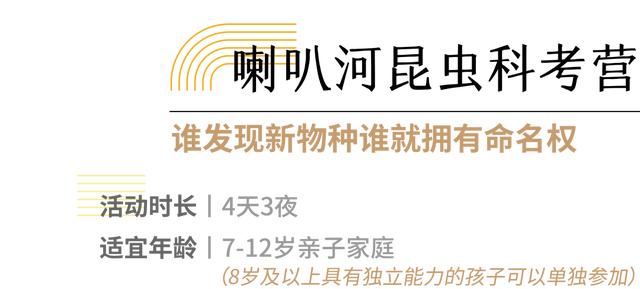 你的育儿经|2020夏令营丨造房子/探秘熊猫/昆虫科考/水中急救……最强小孩养成，一个夏天就够了