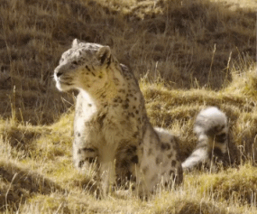 [浅唱风]联合国点赞的中国最低调省份，居然深藏如此宝藏小城！几乎浓缩西北全部的美，然99%的人路过却错过了！
