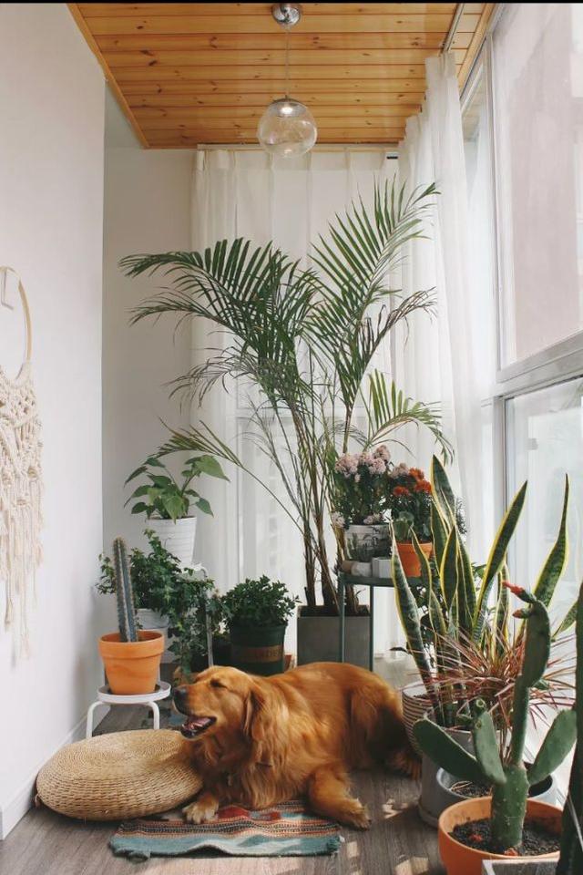 疫情之后，这3类客厅将引领中国新潮流