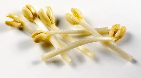 花生|这种坚果，被称为“素中之荤”